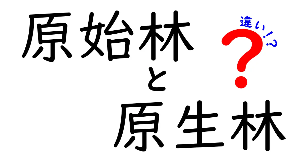 原始林と原生林の違いを徹底解説!中学生にも分かるポイントと保全の意味