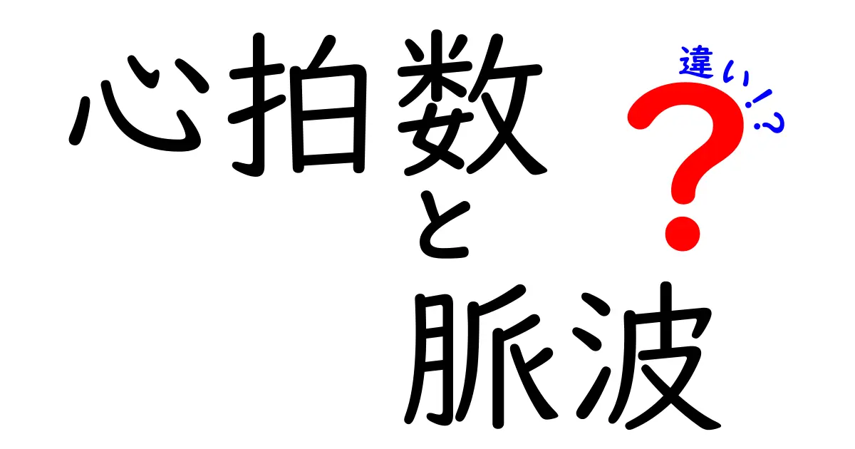 心拍数と脈波の違いを徹底解説！中学生にもわかる基礎ガイド