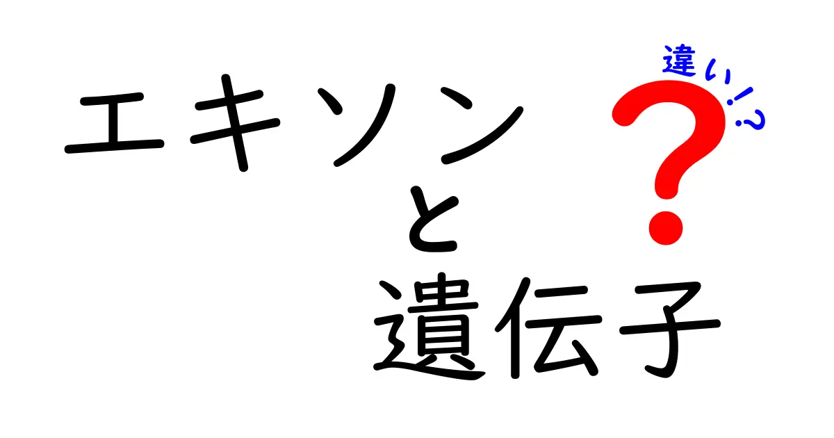 エキソンと遺伝子の違いを徹底解説!これを知ればDNAの仕組みが見えてくる