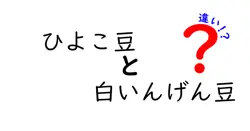 ひよこ豆と白いんげん豆の違いを徹底解説!味・栄養・用途を中学生にもわかりやすく比較