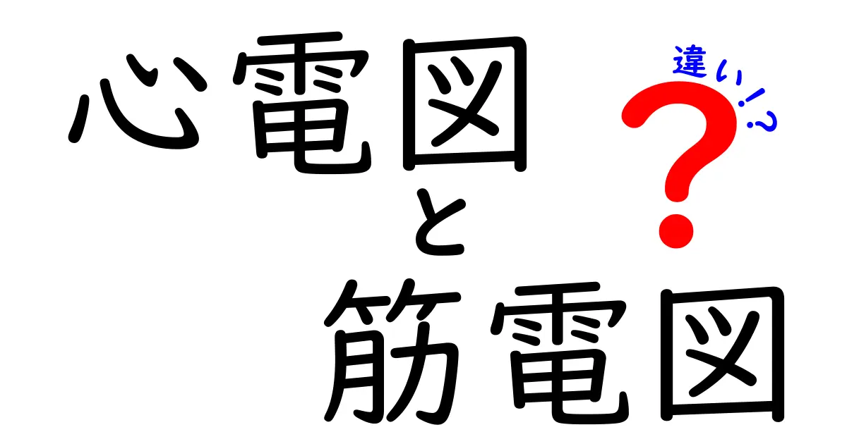 心電図と筋電図の違いを徹底解説!日常の体の不思議をわかりやすく見抜く