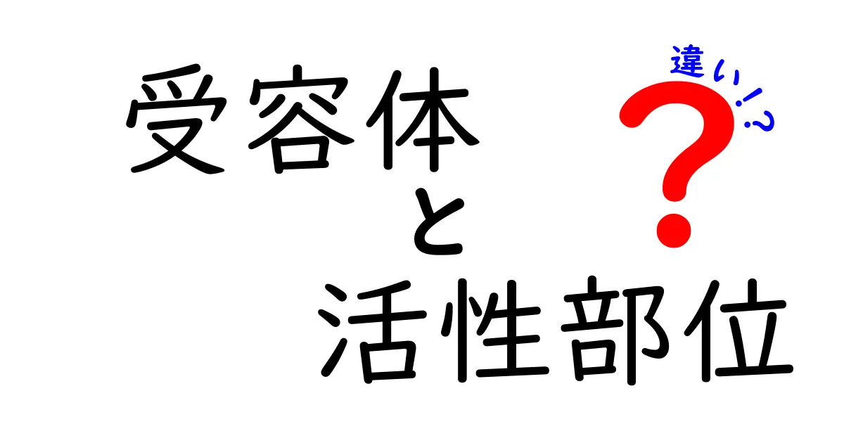 受容体と活性部位の違いを一目で理解!中学生にも分かる基本から深掘りまで