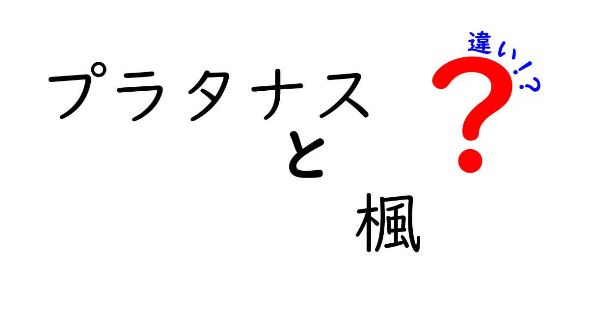 プラタナスと楓の違いをわかりやすく解説!見分け方と育て方のポイント