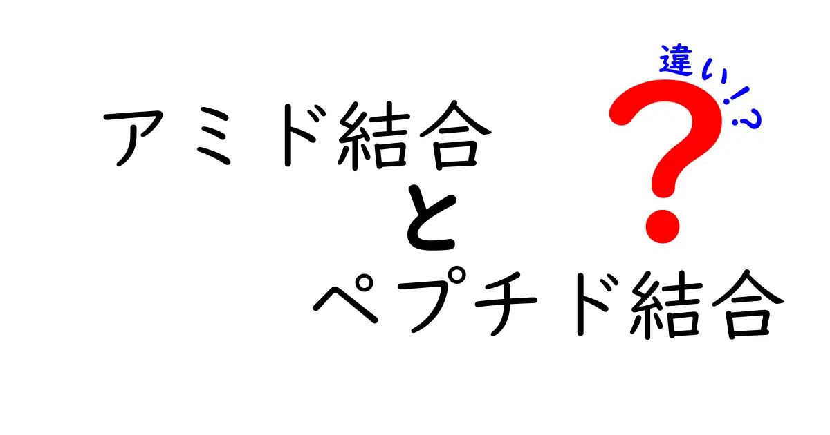 アミド結合とペプチド結合の違いを徹底解説—中学生にもわかる図解つき