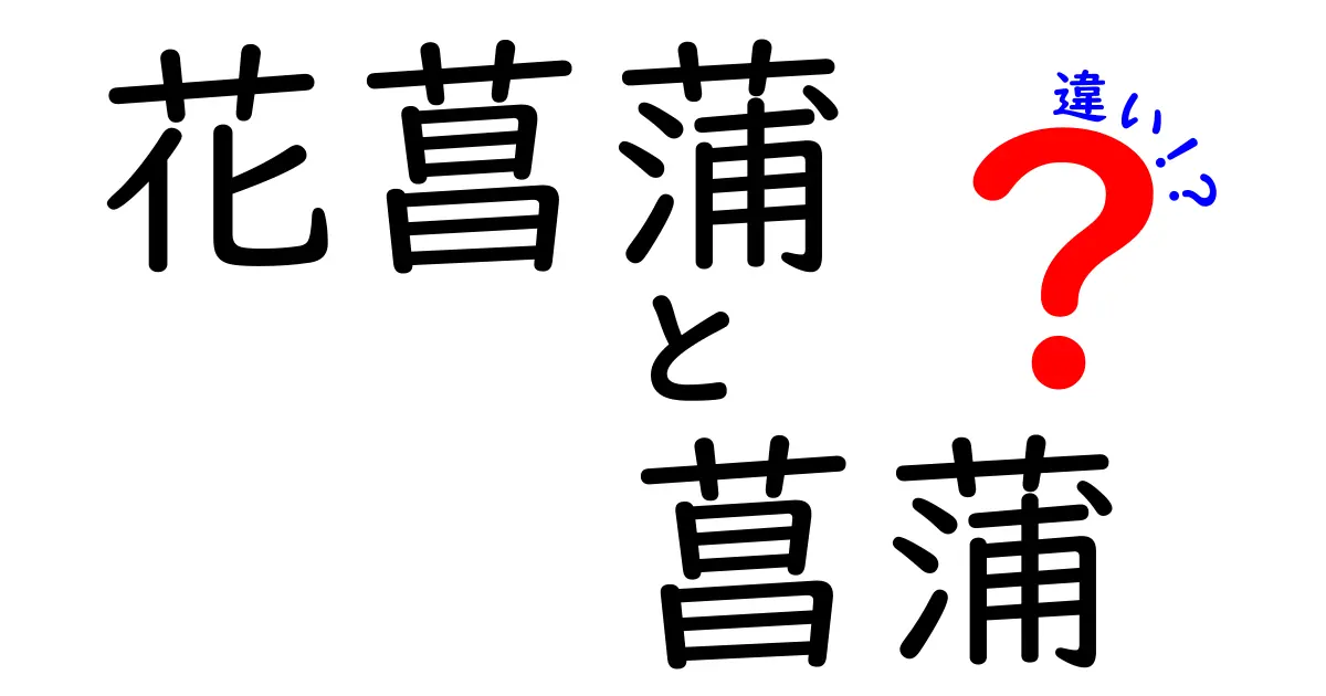 花菖蒲と菖蒲の違いを完全ガイド｜見分け方・育て方・名前の由来を徹底解説