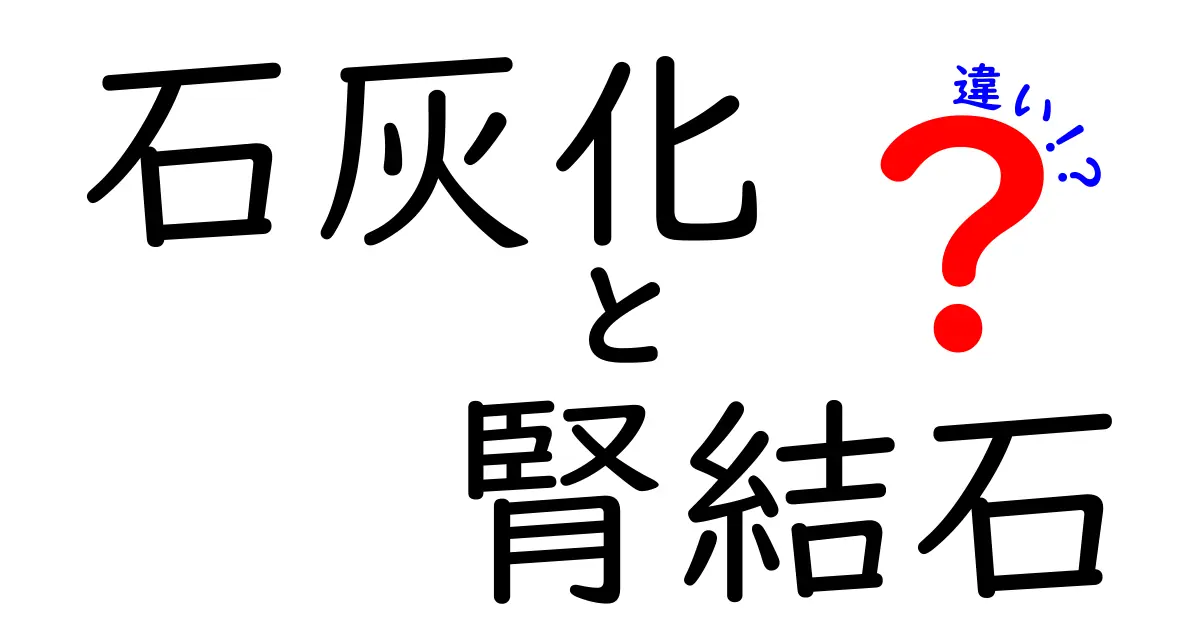 石灰化と腎結石の違いを徹底解説！原因・症状・予防まで中学生にもわかるやさしい説明