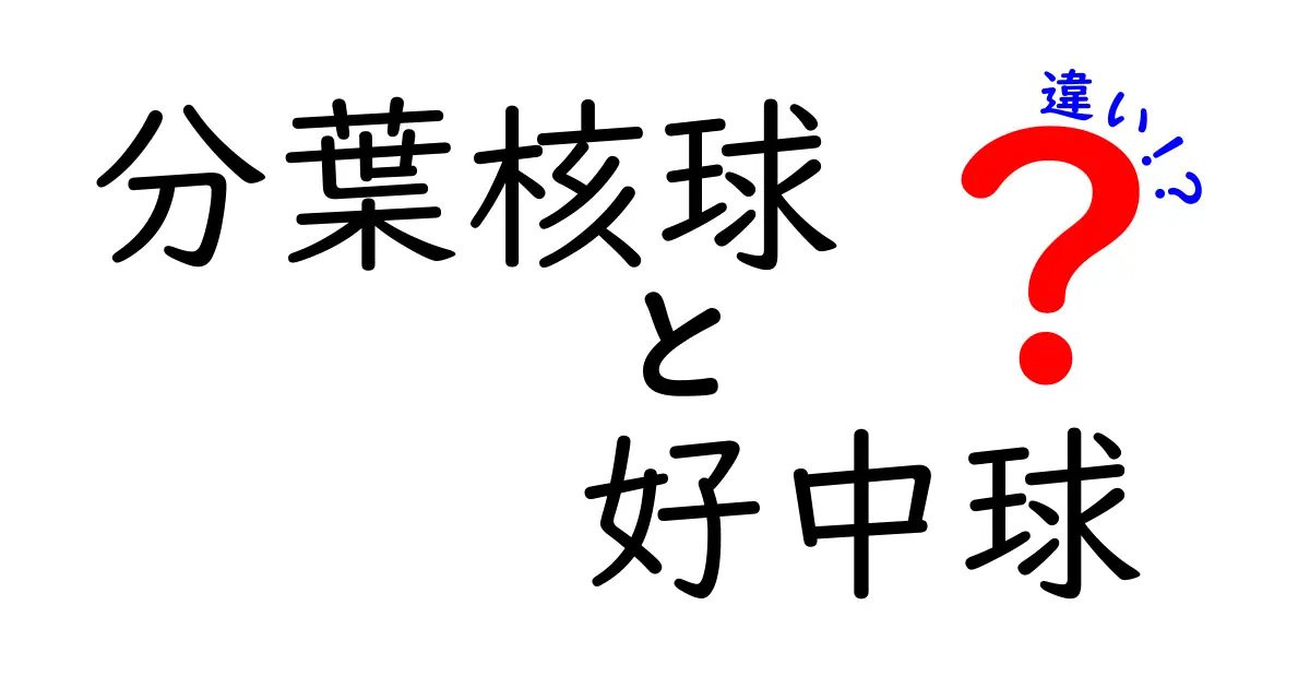 分葉核球と好中球の違いを徹底解説!形態から機能、臨床での見分け方まで中学生にも分かる図解付き