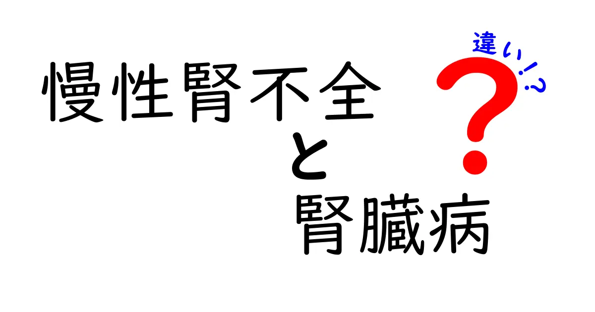 慢性腎不全と腎臓病の違いを分かりやすく解説!中学生にも伝わるやさしいガイド