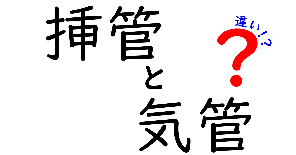 挿管と気管の違いをやさしく解説！中学生にも伝わる使い分けのコツ