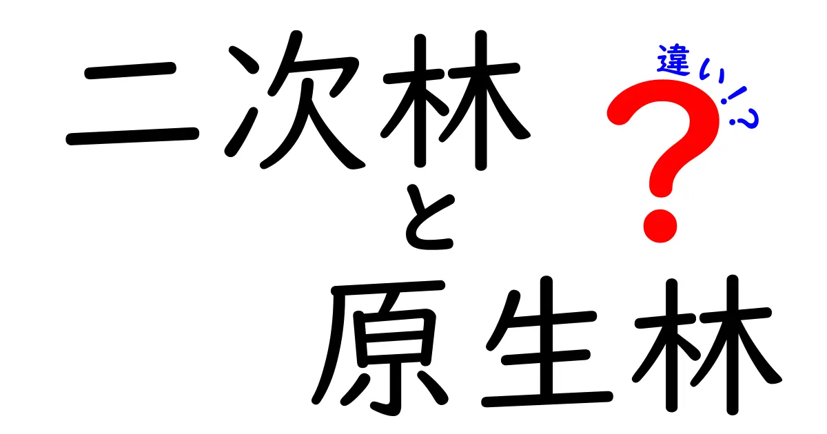 二次林と原生林の違いを完全ガイド!見分け方と森の役割を楽しく学ぼう