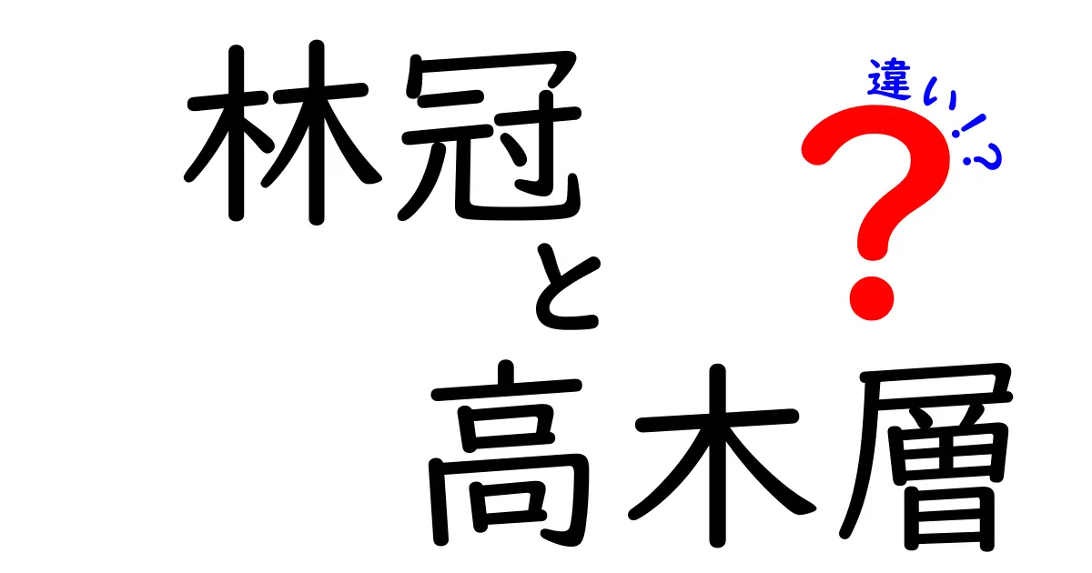林冠と高木層の違いを徹底解説!森の上の世界を分かりやすく見分ける方法