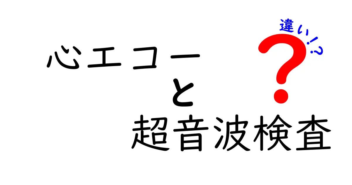 心エコーと超音波検査の違いをわかりやすく解説！中学生にも伝わる基本ポイント