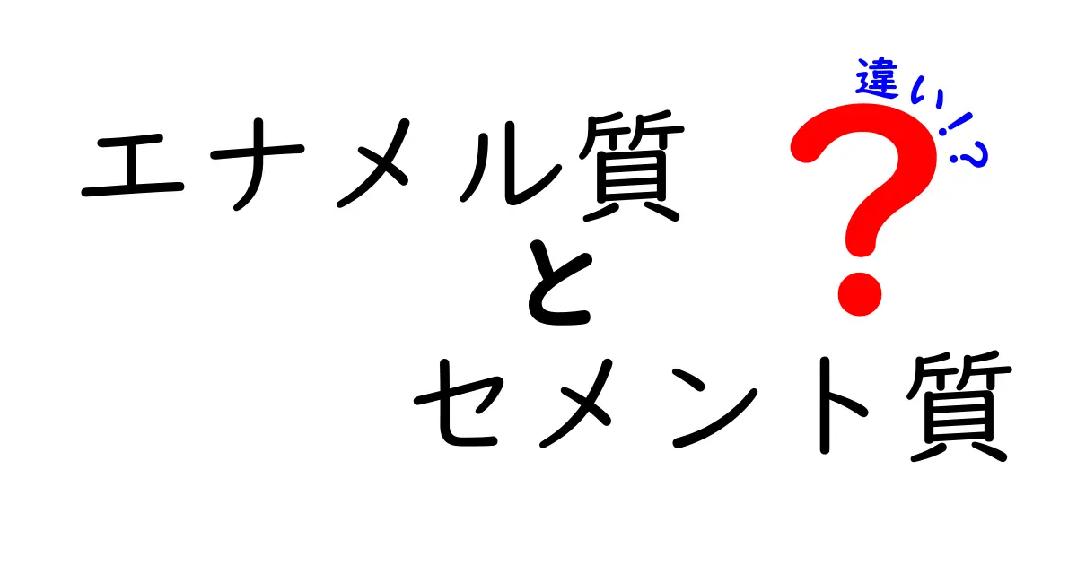 エナメル質とセメント質の違いを徹底解説!中学生にもわかるやさしい歯のしくみガイド