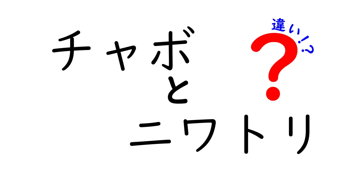 チャボとニワトリの違いを徹底解説!小さな鳥の世界をスッキリ見分けるコツ