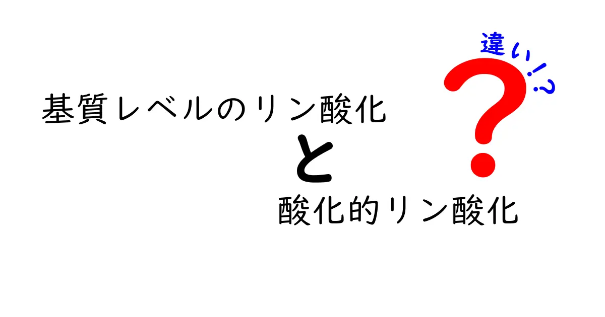基質レベルのリン酸化と酸化的リン酸化の違いを徹底解説 – 中学生にもわかるポイントと見分け方