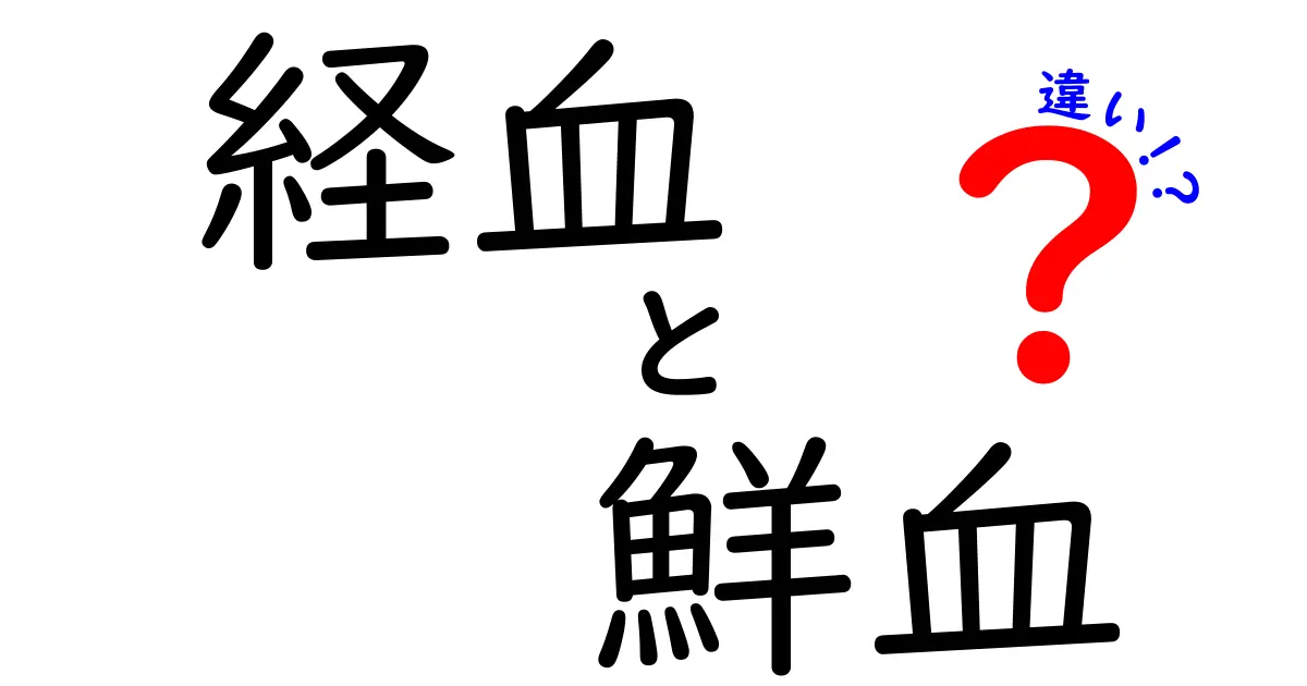 経血と鮮血の違いを徹底解説！生理中の色と量を正しく理解する完全ガイド