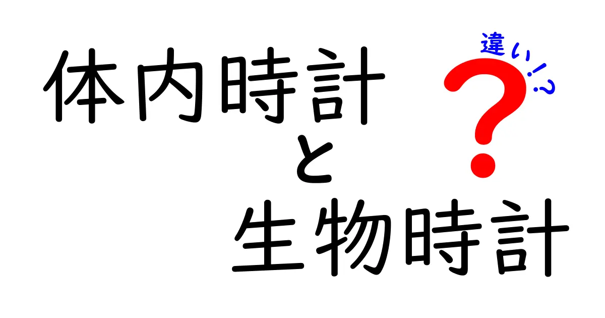 体内時計 生物時計 違いを徹底解説!中学生にも分かる3つのポイントと日常への活用