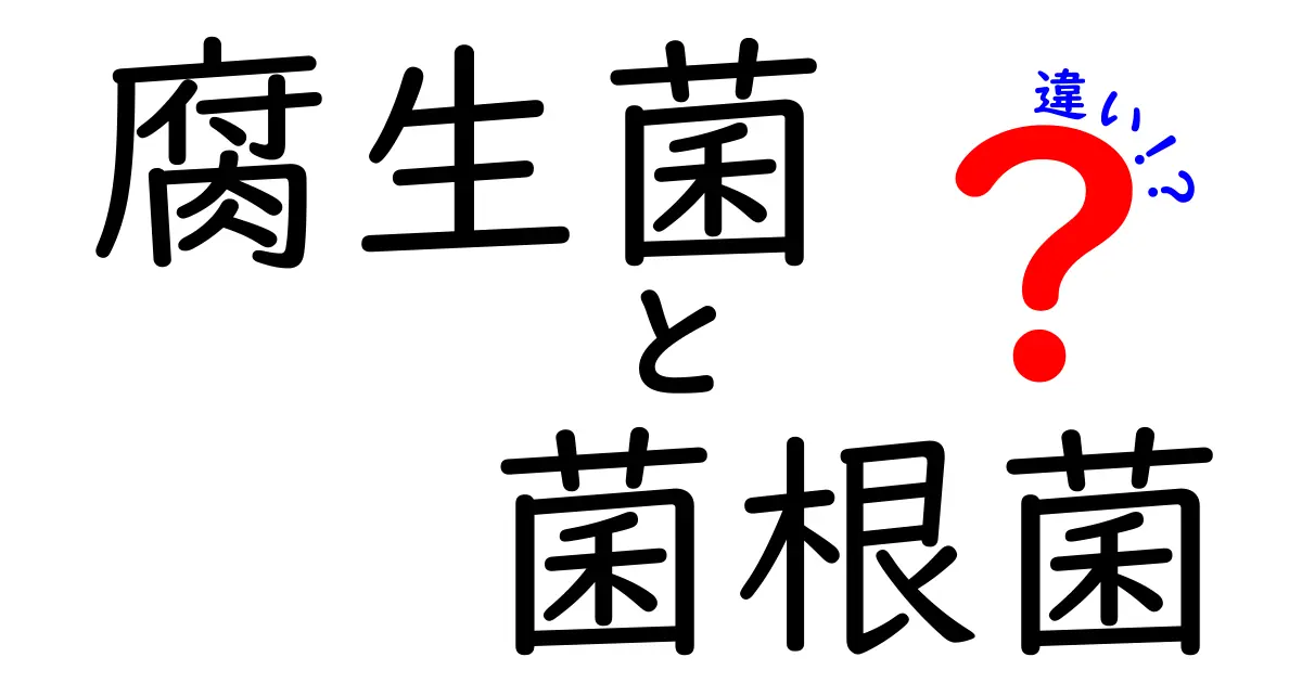 腐生菌と菌根菌の違いを徹底解説!中学生にも分かる生態のひみつ