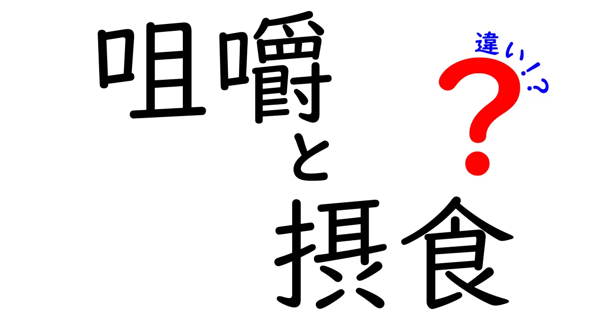 咀嚼と摂食の違いを徹底解説！噛む行為と食べる仕組みをやさしく理解しよう