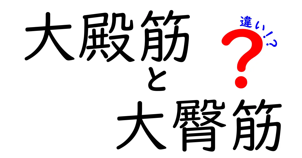大殿筋と大臀筋の違いってあるの?中学生にもわかる解説でスッキリ理解!