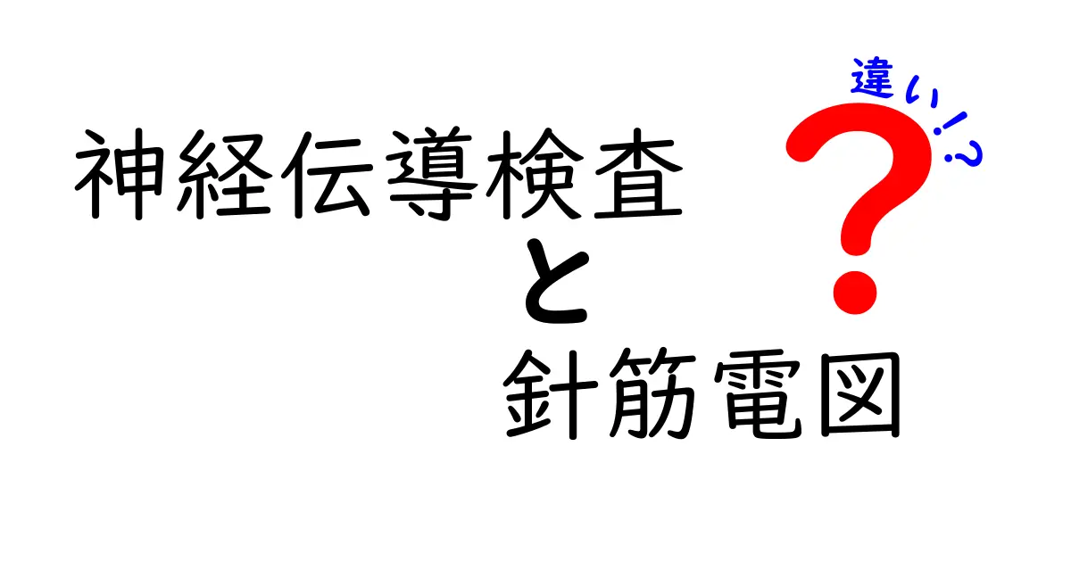 神経伝導検査と針筋電図の違いを徹底解説：痛み・所要時間・目的を中学生にもわかる解説