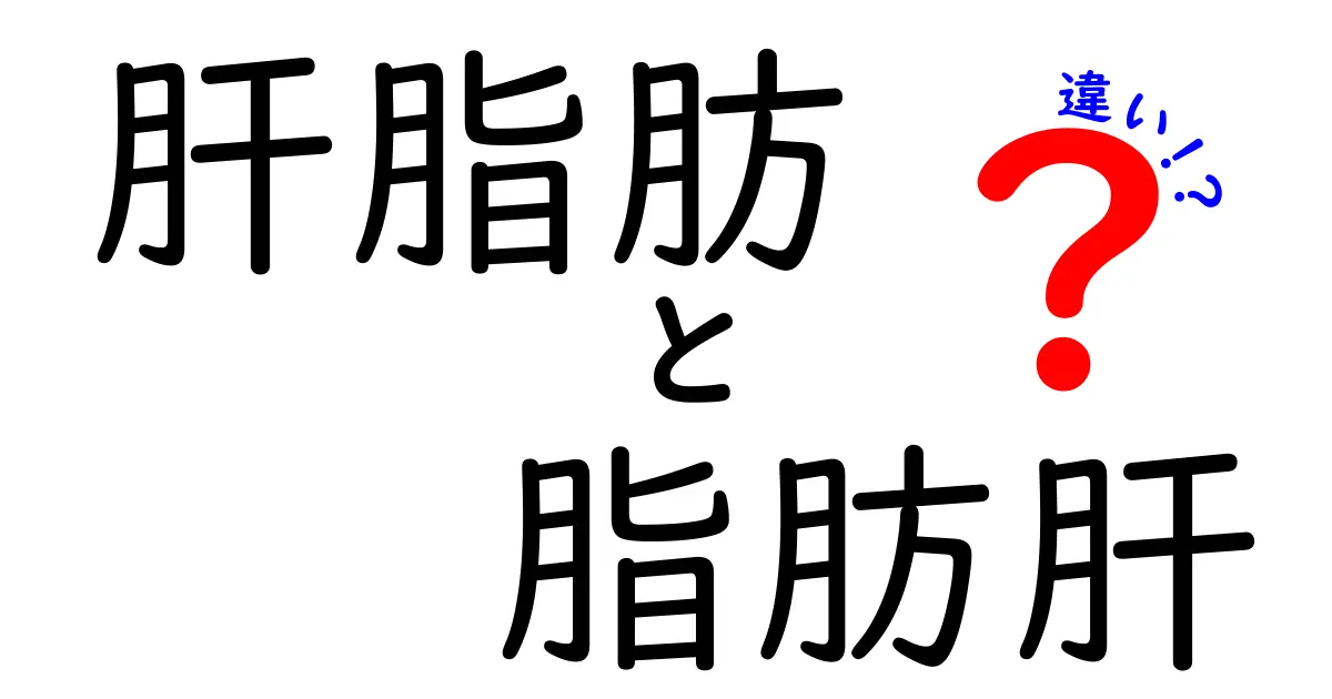 肝脂肪と脂肪肝の違いを徹底解説!クリックしたくなる見分け方と健康リスク解説