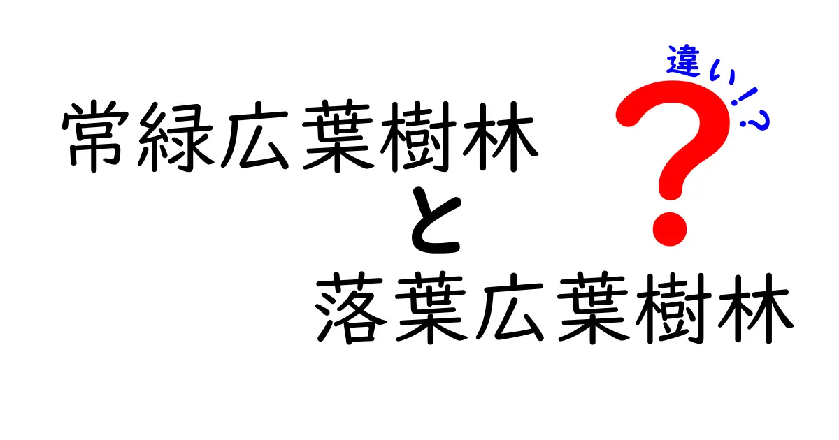 常緑広葉樹林と落葉広葉樹林の違いを徹底解説|季節で変わる森の姿と見つけ方