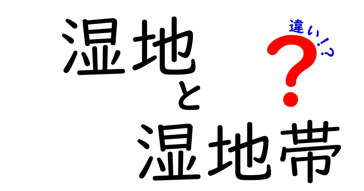 湿地と湿地帯の違いがよくわかる!中学生にも伝わるやさしい用語解説