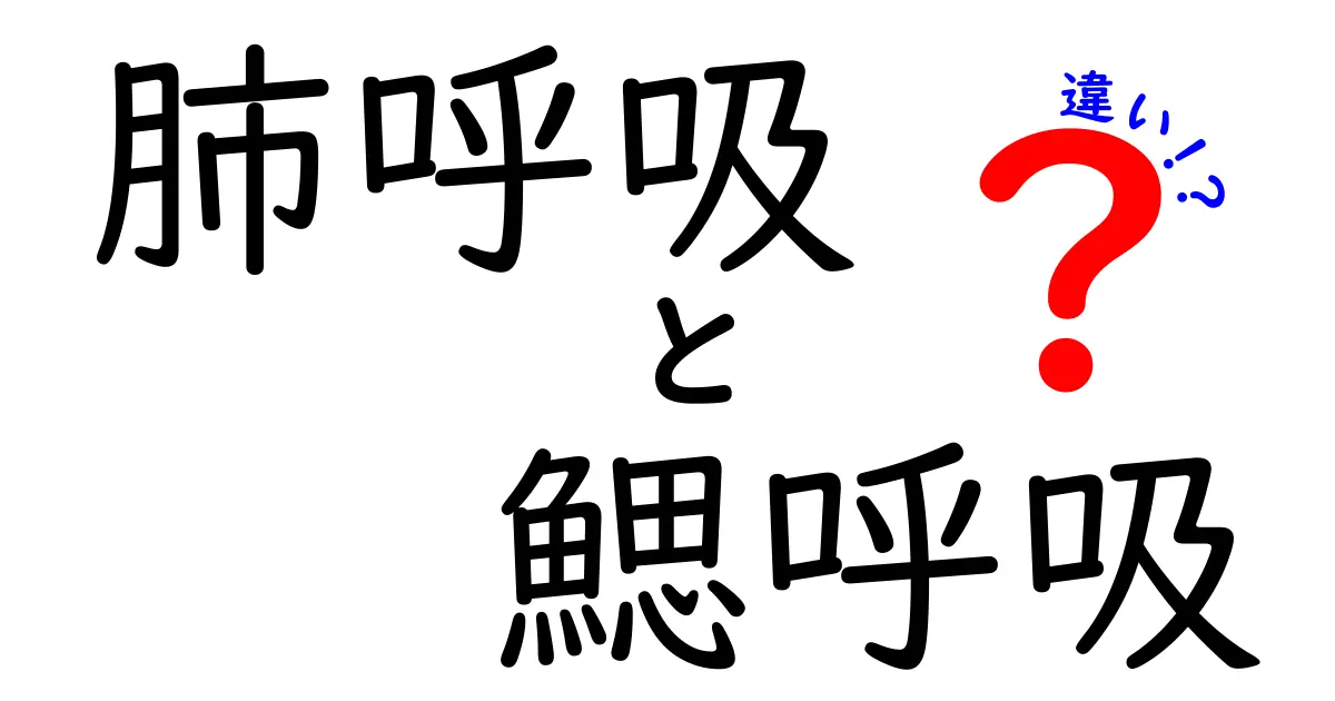 肺呼吸と鰓呼吸の違いを徹底解説|私たちと魚、それぞれの呼吸が生きる理由とは?