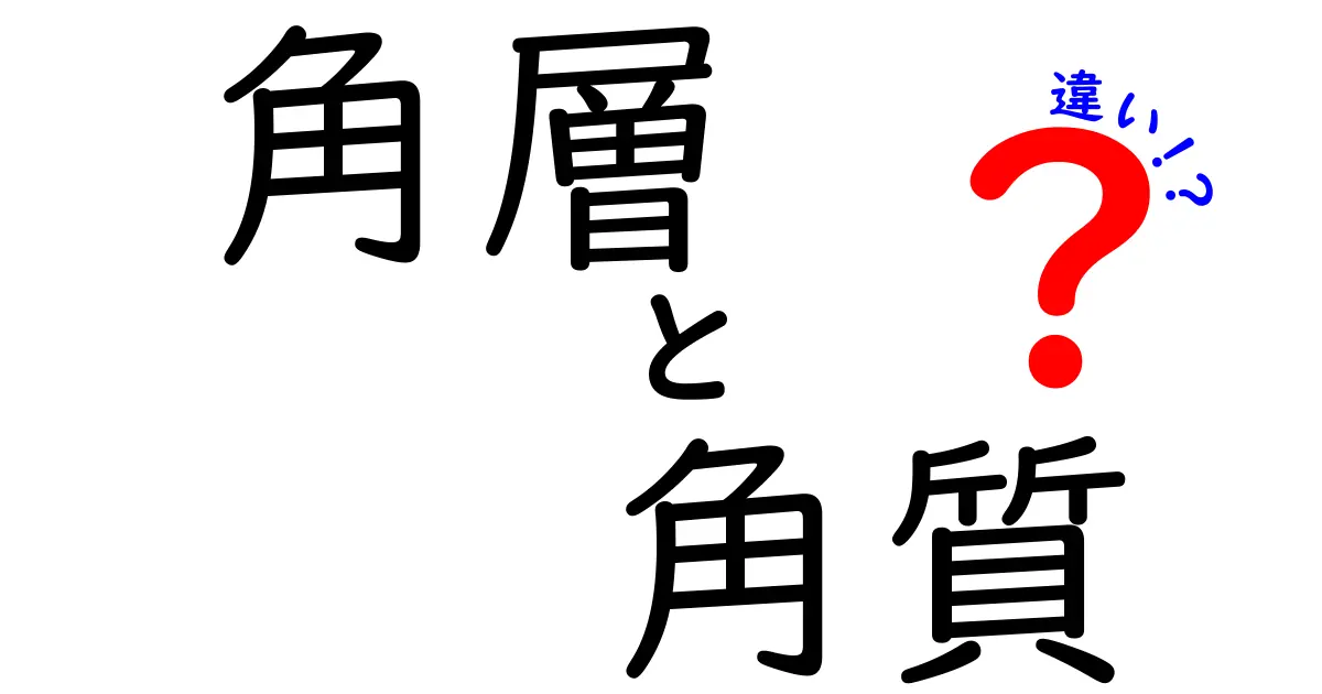 角層と角質の違いを徹底解説!中学生にもわかる基礎から学ぶ正しいスキンケア