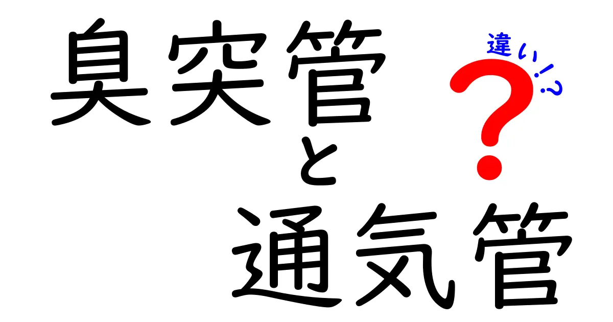臭突管　通気管　違いを徹底解説：医療現場での使い分けとポイント