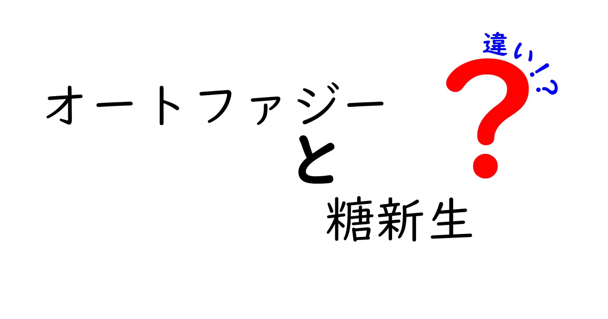 オートファジーと糖新生の違いを徹底解説:中学生にもわかる体のエネルギー戦略