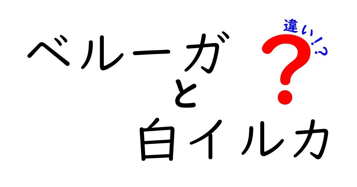 ベルーガと白イルカの違いを徹底解説！外見・生態・生息地の違いをわかりやすく見極める