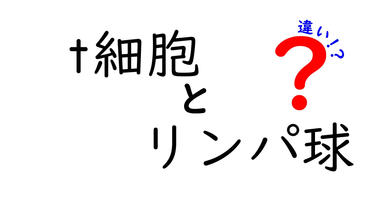 t細胞とリンパ球の違いを徹底解説!免疫の仕組みを中学生にもわかる言葉で