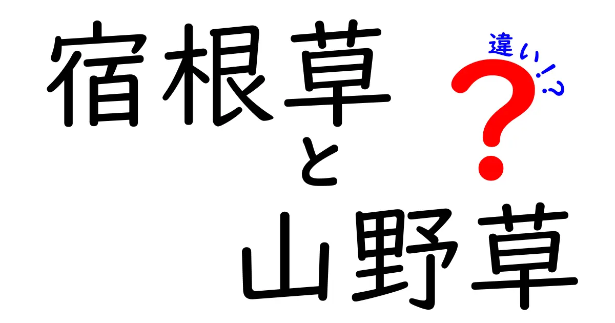 宿根草と山野草の違いを徹底解説!庭づくり初心者が知っておくべき基礎と選び方