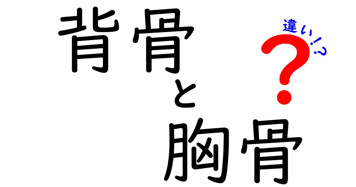 背骨と胸骨の違いを図解付きで徹底解説|中学生にもやさしい体の仕組み