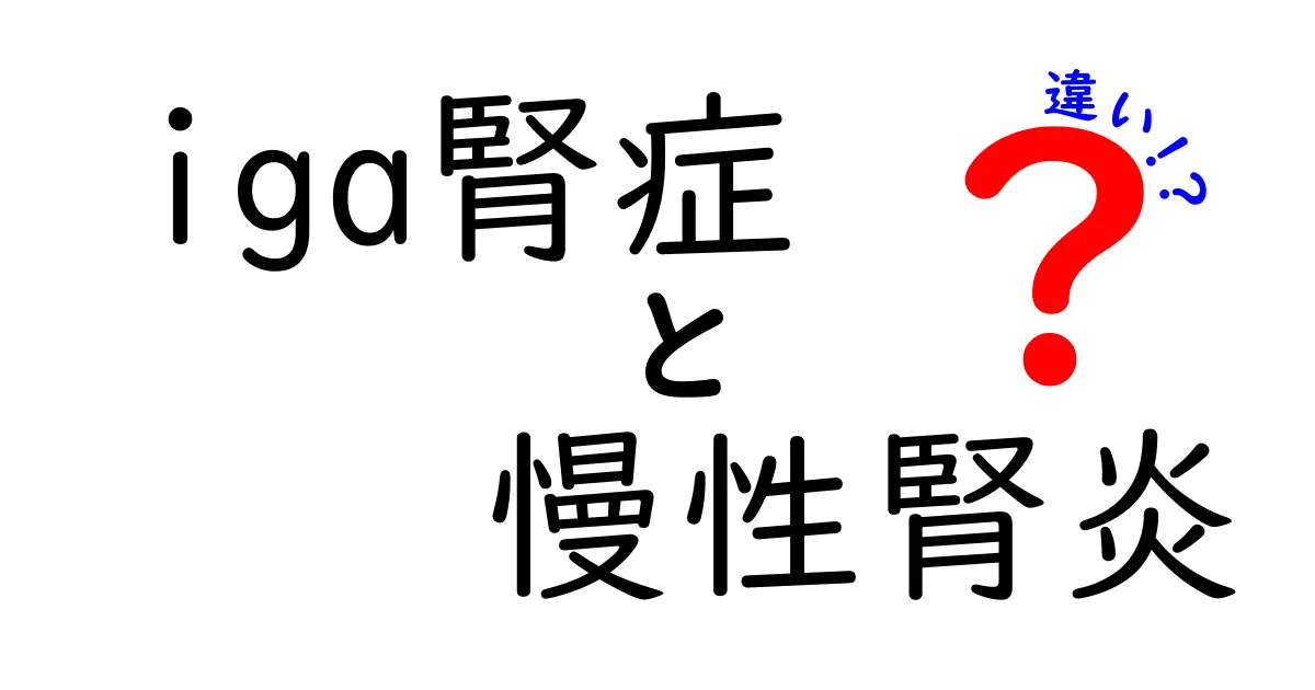 iga腎症と慢性腎炎の違いとは?病態・原因・治療のポイントを中学生にもわかる言葉で解説
