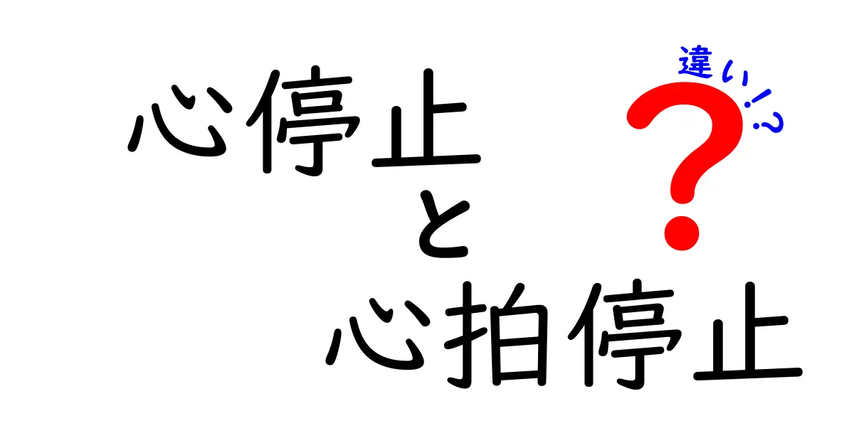 心停止と心拍停止の違いを徹底解説｜救命現場の基本をやさしく学ぼう