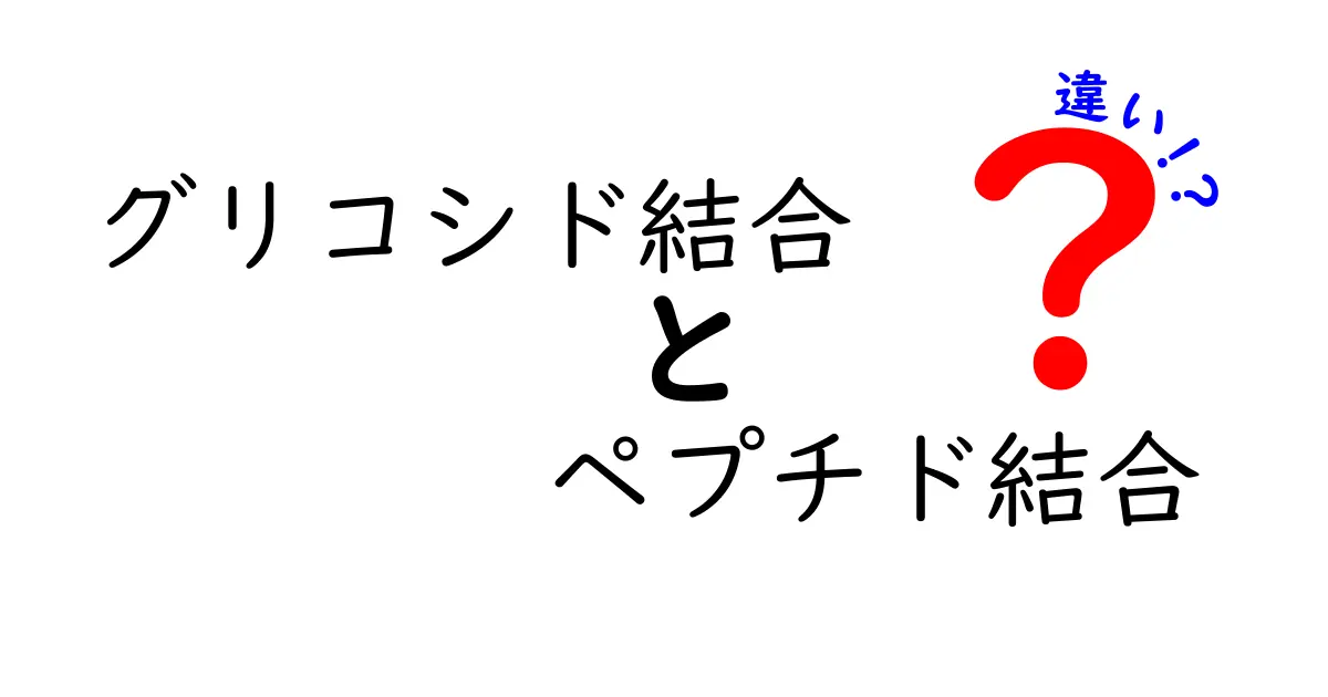 グリコシド結合 ペプチド結合 違いを完全ガイド:身近な生体分子の仕組みをわかりやすく解説