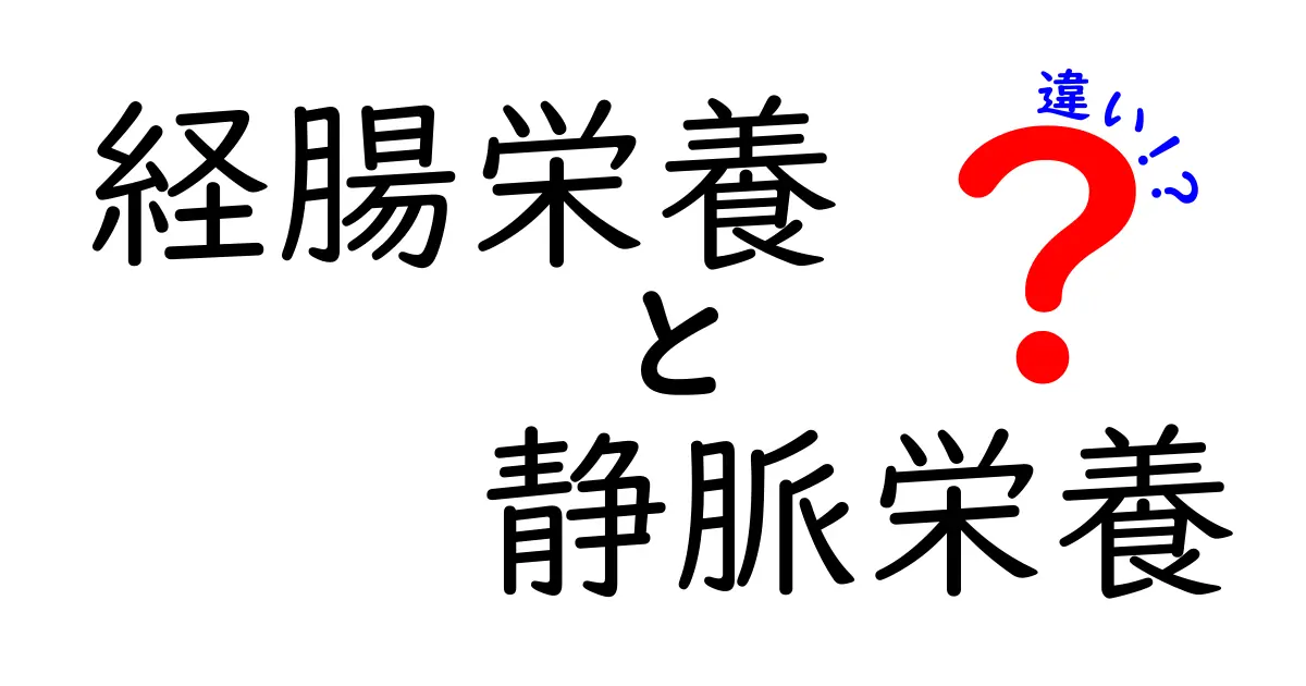 経腸栄養と静脈栄養の違いを知ろう!体に優しい選択とその理由