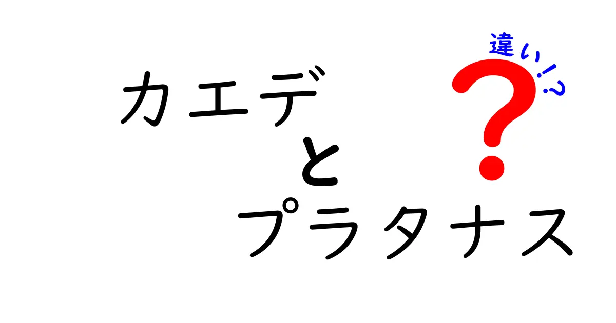カエデとプラタナスの違いを徹底解説!見分け方・育て方・用途まで完全ガイド