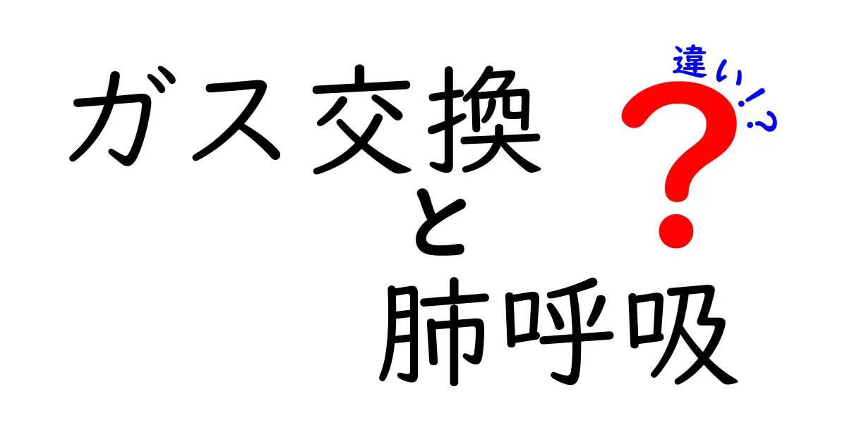 ガス交換と肺呼吸の違いを徹底解説｜中学生にも伝わるしくみと生活での意味
