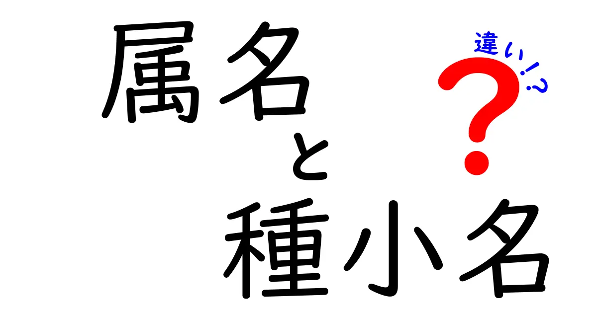 属名と種小名の違いを徹底解説!名前の謎を解く基本ガイド