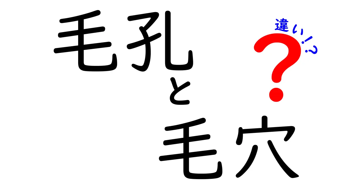 毛孔と毛穴の違いを徹底解説!見分け方と正しいケアを中学生にもわかる言葉で
