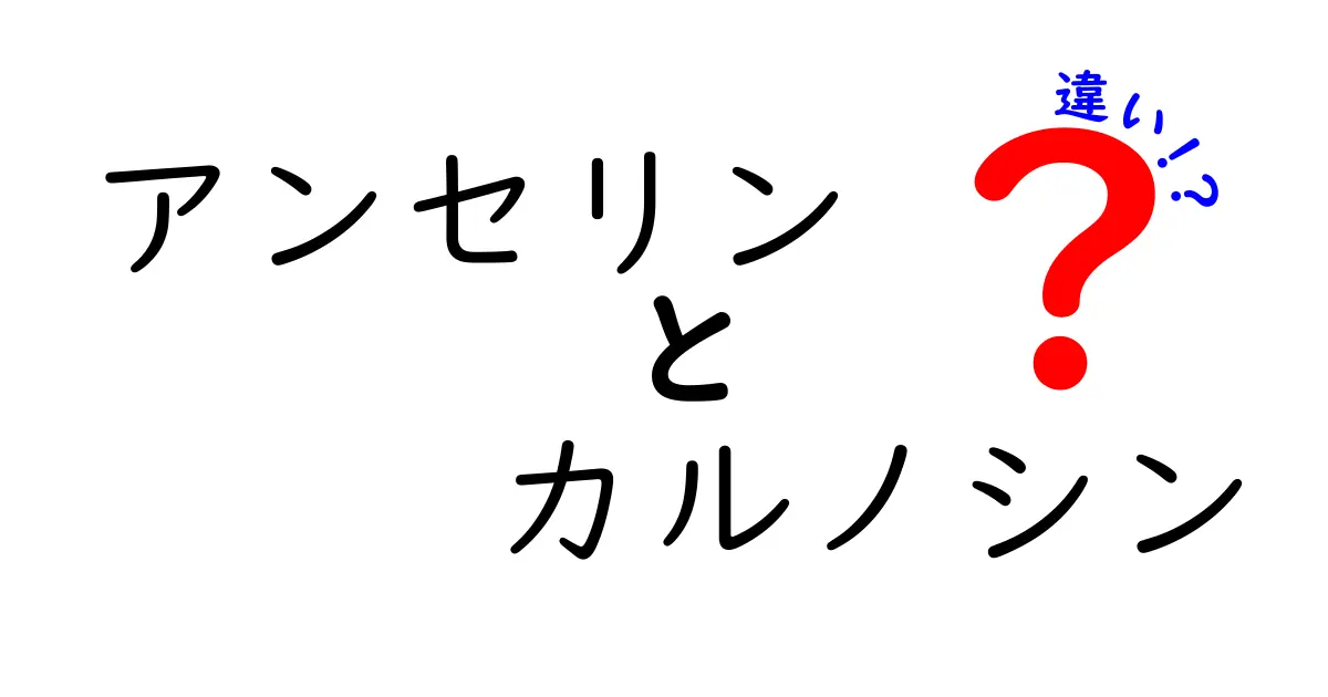 アンセリンとカルノシンの違いが一目瞭然!基礎から実践までわかりやすく解説