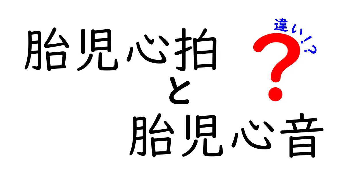 胎児心拍と胎児心音の違いを完全解説:聞こえ方・測定方法・見分けのコツまで