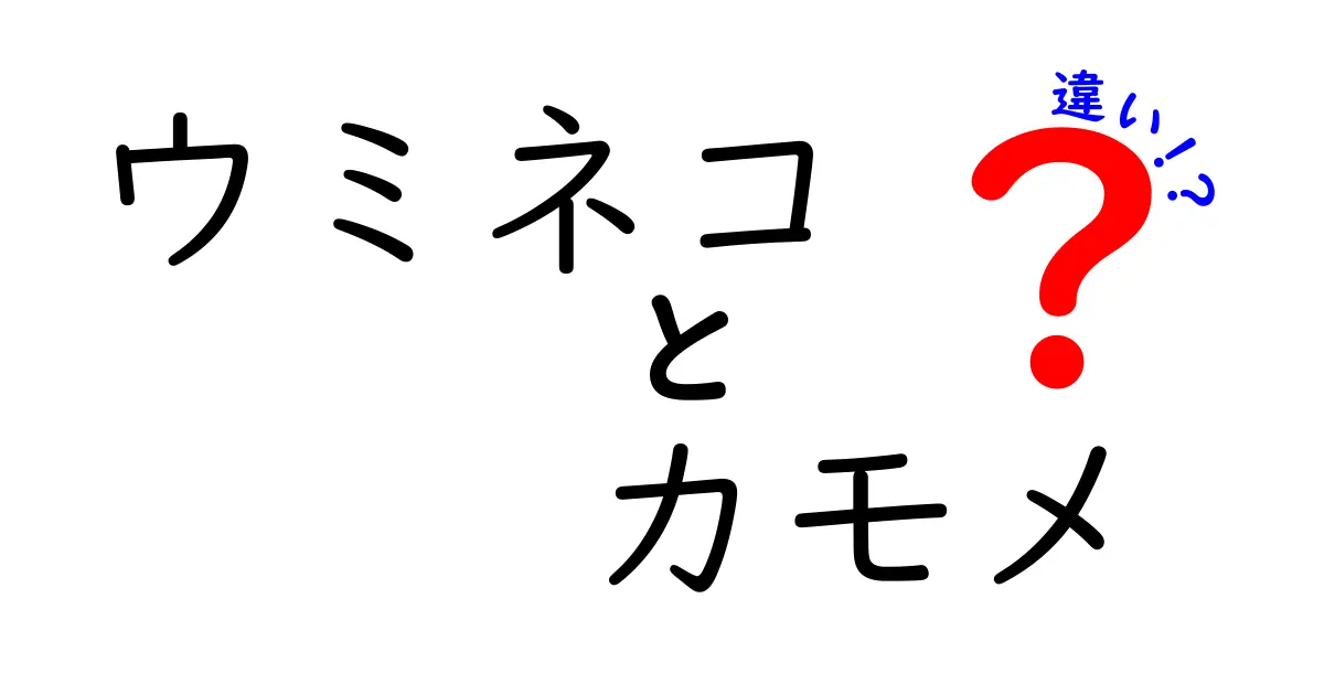 ウミネコとカモメの違いを徹底解説!見分け方と生態を中学生にもわかる図解付き