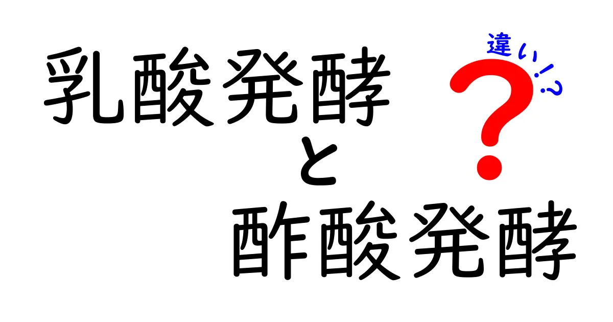 乳酸発酵と酢酸発酵の違いを徹底解説!身近な発酵のしくみと生活への活かし方