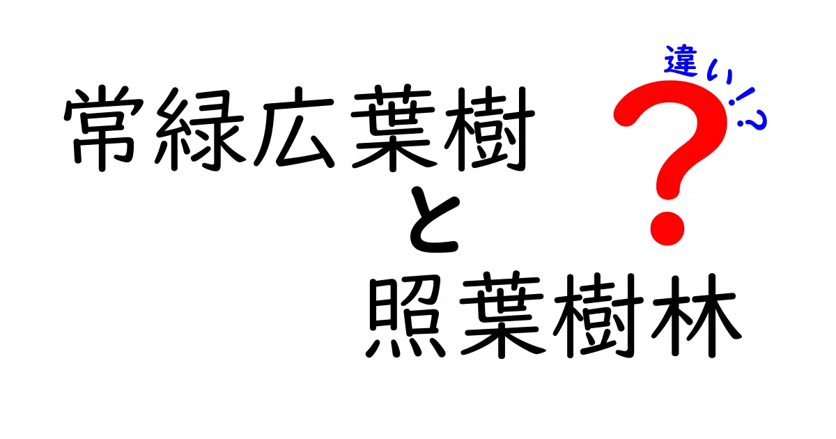 常緑広葉樹と照葉樹林の違いを徹底解説!見分け方と生態の秘密を分かりやすく解説