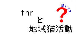 tnrと地域猫活動の違いを徹底解説|初心者でも分かるポイント満載